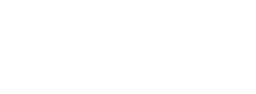 Phoenix Care Group Logo White